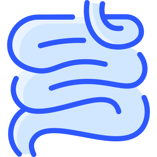 Ícone duodeno