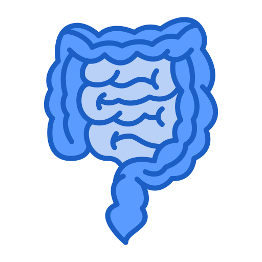 Ícone intestino delgado